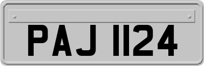 PAJ1124