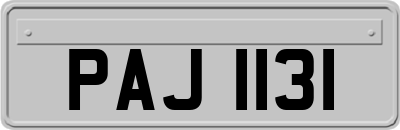 PAJ1131