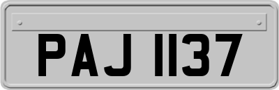 PAJ1137