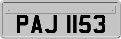 PAJ1153