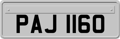 PAJ1160