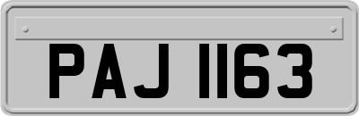 PAJ1163