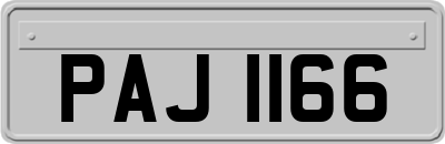 PAJ1166