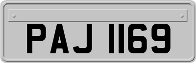 PAJ1169