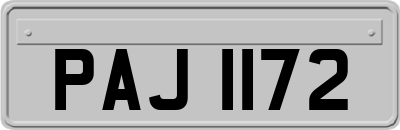 PAJ1172