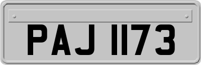 PAJ1173