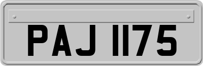 PAJ1175