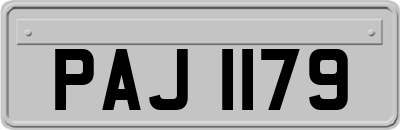 PAJ1179