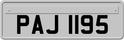 PAJ1195