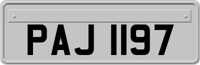 PAJ1197
