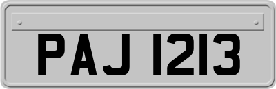 PAJ1213