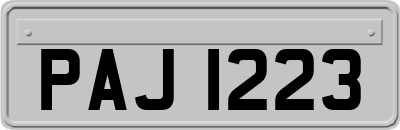 PAJ1223