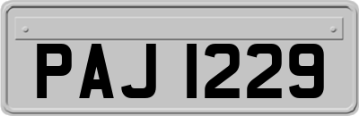PAJ1229