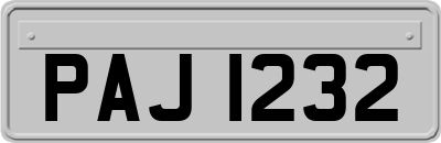 PAJ1232