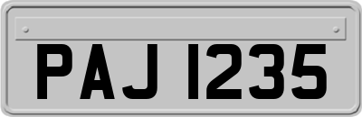 PAJ1235