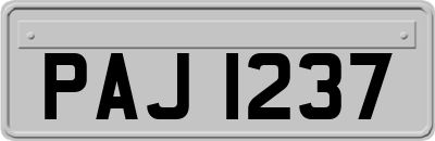 PAJ1237