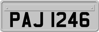 PAJ1246