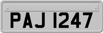 PAJ1247