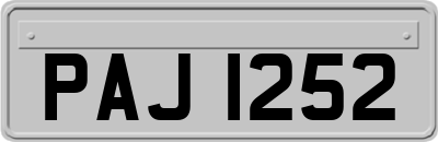 PAJ1252