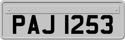 PAJ1253