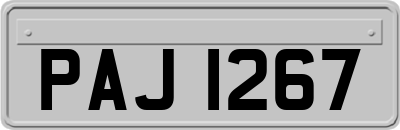 PAJ1267
