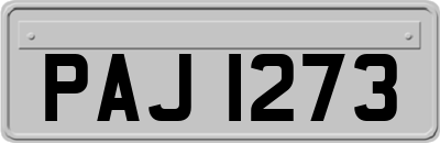 PAJ1273