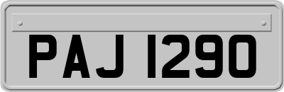 PAJ1290