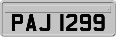 PAJ1299