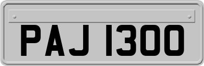 PAJ1300