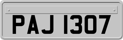 PAJ1307