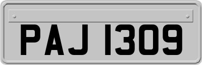 PAJ1309
