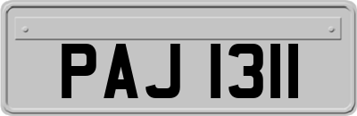 PAJ1311