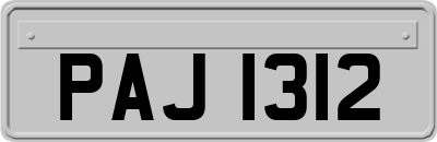 PAJ1312