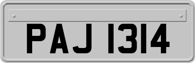 PAJ1314