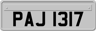 PAJ1317