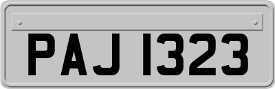 PAJ1323