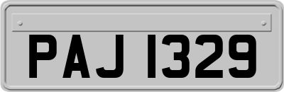 PAJ1329