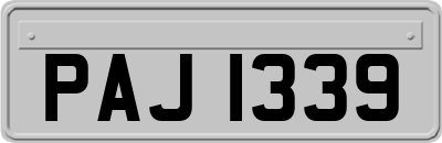 PAJ1339