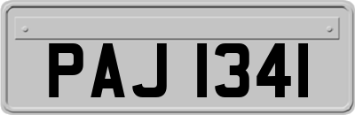 PAJ1341