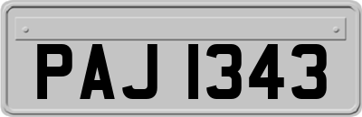 PAJ1343