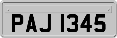 PAJ1345