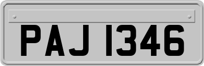PAJ1346