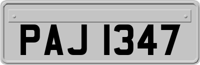 PAJ1347