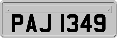 PAJ1349