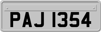 PAJ1354