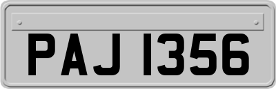 PAJ1356