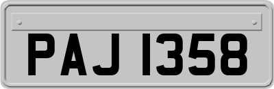 PAJ1358