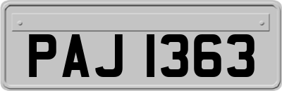 PAJ1363