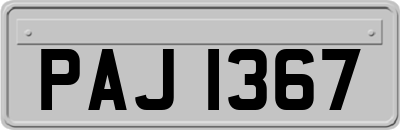 PAJ1367