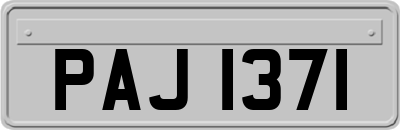 PAJ1371